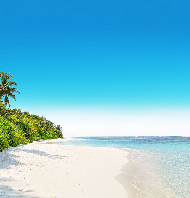 Travel Insurance Marketplace